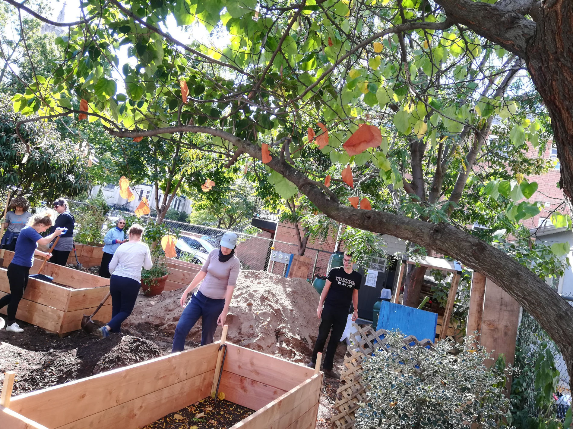 The garden under construction, with volunteers helping build raised beds and shovel soil.
